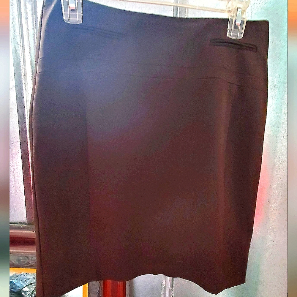 Express Skirt